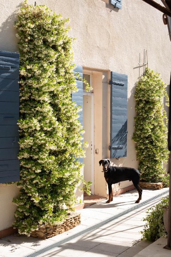 Societe Hoteliere De Montmirail Gigondas Bagian luar foto